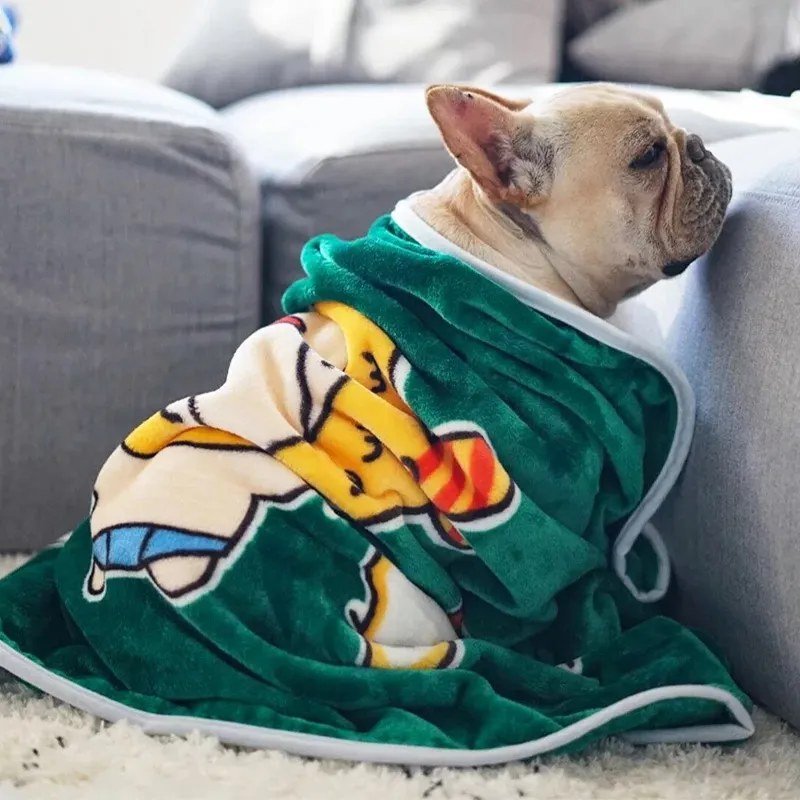 Cartoon-Print Flannel Pet Blanket