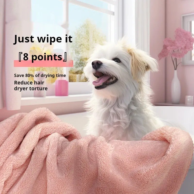 Coral Fleece Quick-Dry Towel