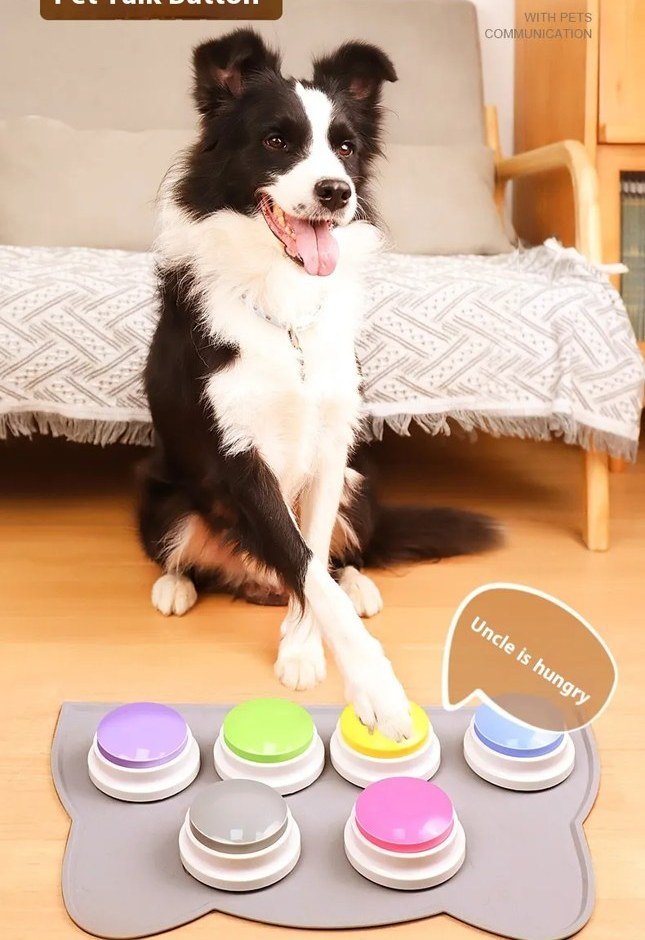 Six-Button Talking Paw Board
