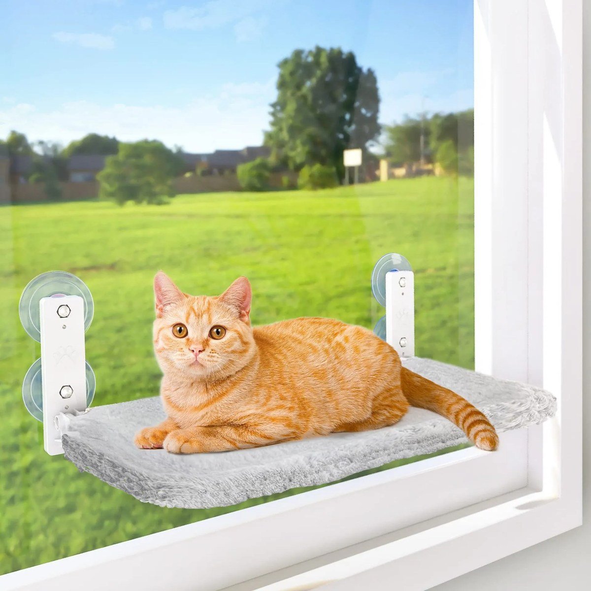 Plush Suction-Mount Window Perch