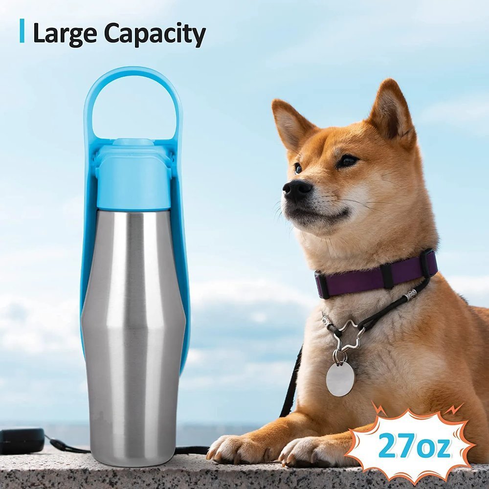 Stainless Steel Travel Water Bottle
